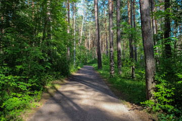 Fototapeta premium photo of a city Park