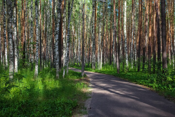 photo of a city Park