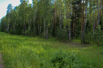 photo of a city Park