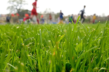 Blurry agility corn soccer on field on blurred soccer athletic playing and training on field.