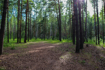 photo of a city Park