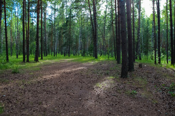 photo of a city Park