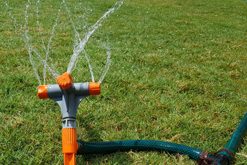 Fototapeta na wymiar automatic sprinkler system watering the lawn on a background of green grass, close-up.