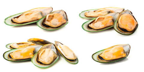 New Zealand greenshell mussels