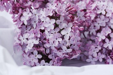 Beautiful bouquet of lilac on white paper 