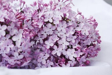 Beautiful bouquet of lilac on white paper 