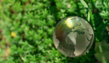 Obraz na płótnie Canvas earth green concept glass sphere.