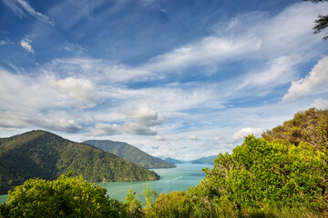 Fototapeta na wymiar New Zealand coast