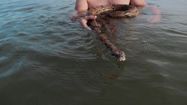Man swimming with snake in the river