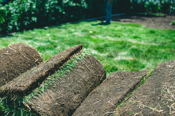 Fototapeta na wymiar Turf rolled lawn closeup on the background of the lawn. The process of laying the finished fresh lawn rolls on the ground.