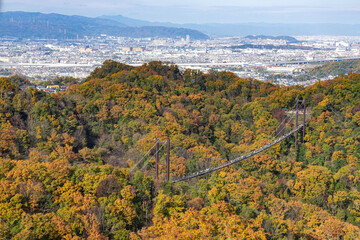 大阪府交野市の府民の森・ほしだ園地「星のブランコ」の紅葉