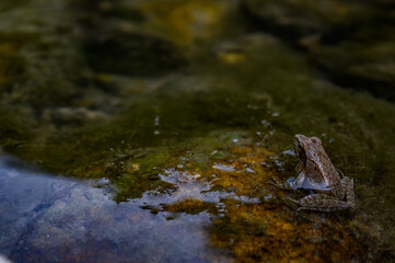 Natural spots in the country side of Benevento, Italy