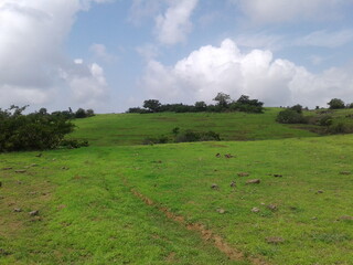 Obraz premium green field and blue sky with clouds