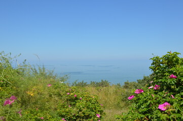 Sea view. No horizon