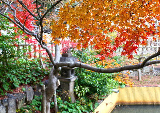 The Ikuta Shrine in Kobe, Kansai, Japan.