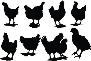 Set of Simple Vector Design of a Chicken in Black