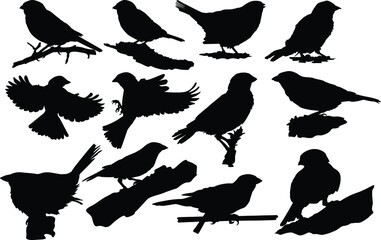 Set of Simple Vector Design of a Sparrow in Black