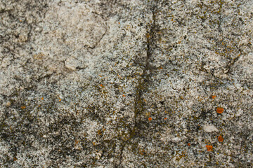 texture of stone