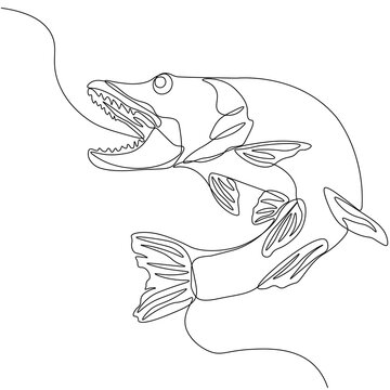 Pike. One line fish design silhouette. Logo design. Hand drawn minimalism style vector illustration.
