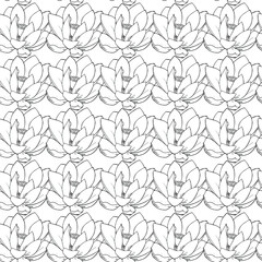 vector seamless background with lotuses. for paper design, packaging, interior design, and clothing. Zen, meditation, ethnic style