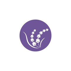 lavender flower vector illustration design
