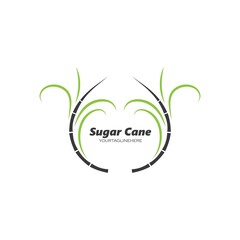 sugar cane vector icon illustration