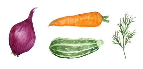 Watercolor hand drawn set of vegetables illustration. Orange carrot, red onion, dill herb, zucchini courgette squash. Vegetarian farm harvest, organic food labels design. Healthy summer eco vitamins.