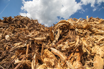 wood chips for biomass combustion. green renewable energy