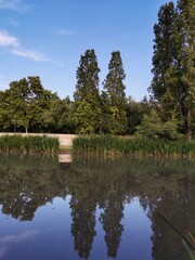 Symmetrical landscape on a lake