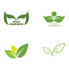 Set Leaf Logo Template vector