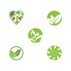 Set Leaf Logo Template vector