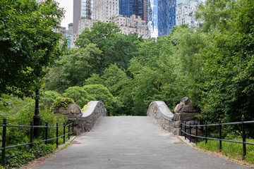 The Empty Gapstow Bridge over the Pond at Central Park with Green Trees during Spring in New York City with Skyscrapers in the background