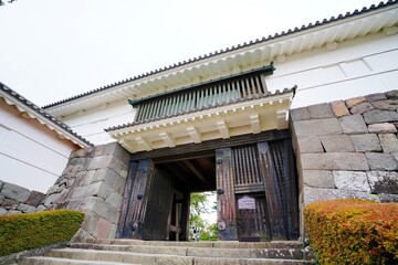 Fototapeta na wymiar 小田原城の常盤木門