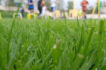Blurry agility corn soccer on field on blurred soccer athletic playing and training on field.