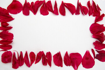 The petals of the red peony are lined in the shape of a frame on a white background. In the center is a place for the inscription