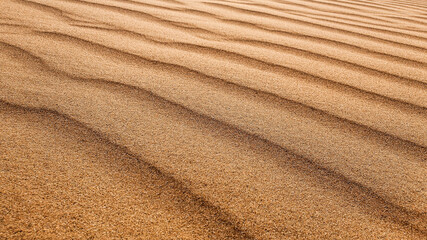 Fine desert sand in the daytime.