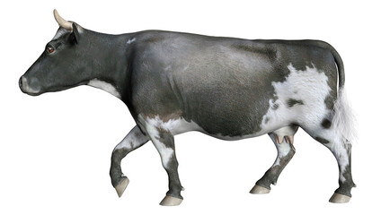 3D Rendering Cow on White