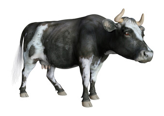 3D Rendering Cow on White