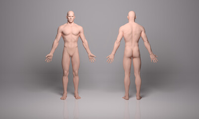 3D Render :a  standing male body illustration with silicone texture display