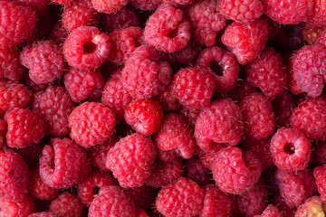 Fresh raspberries closeup. Raspberry background.
