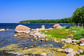 Baltic sea. Picturesque coast with boulders on the Gulf of Finland, Kiperort Peninsula near Primorsk town, Leningrad region, Russia