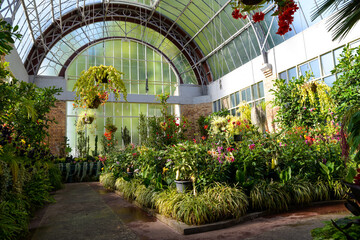 Beautiful plants and flowers in a floral greenhouse in a botanical garden in a sunshine day. 