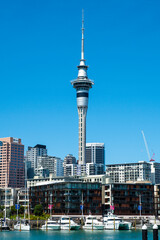 People min their daily life around the city center of Auckland (New Zealand), next to the ocean in a summer day, on the main streets. The city is full of shops and skyscrapers. Is a modern cityscape. 