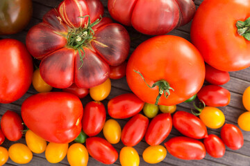 different varieties of ripe red and yellow appetizing tomatoes