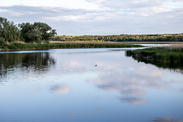 Beautiful water surface with ripples and reflected clouds
