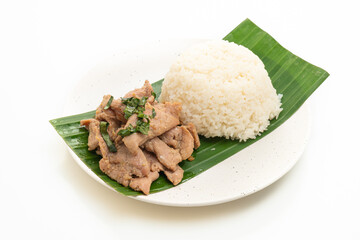 rice with grilled pork garlic