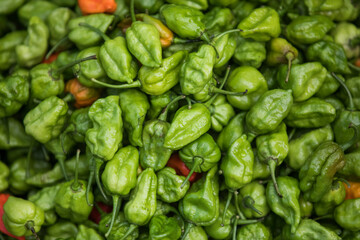 Green fresh and healthy pepper.