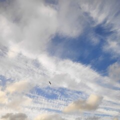 clouds in the sky