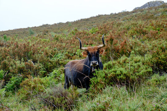 um dia no Parque Nacional Peneda-Ger&ecirc;s