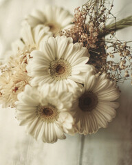 Obraz na płótnie Canvas white chrysanthemum flowers